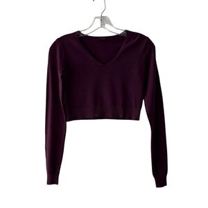 Brandy Melville John Galt Purple Plum Long Sleeve V-Neck Crop Sweater